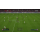 EA FIFA 16 XBOX ONE Deluxe Edition - 1402282 - zdjęcie 10